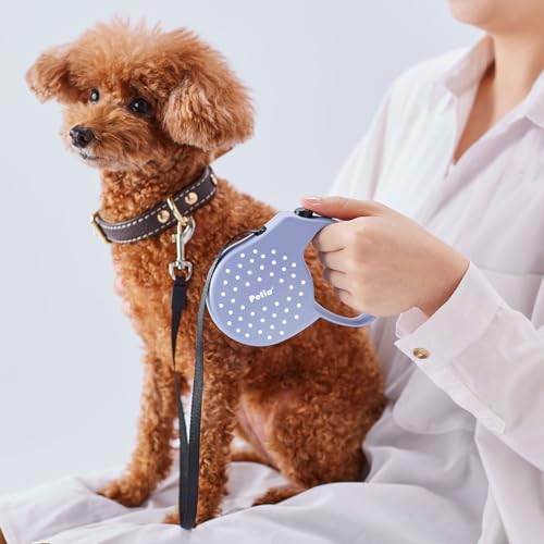 Amazon.co.jp: Petio: お散歩（犬用）